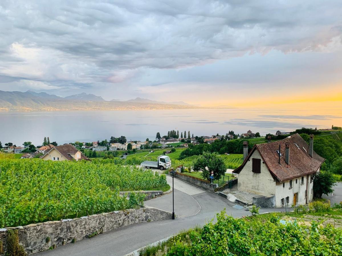 #Lavaux Hotel Lutry Eksteriør billede